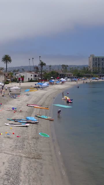 Low aerial view of the beach, boats and palm trees in Mission Bay, with a crowd gathered.