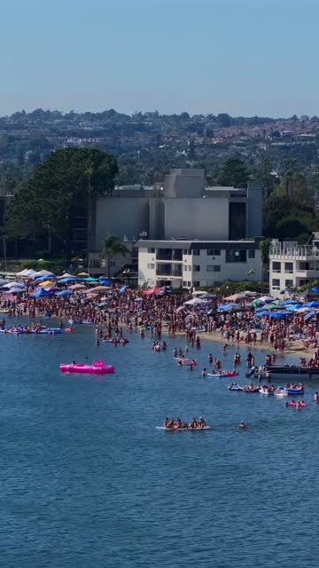 Low aerial view of the beach, boats and palm trees in Mission Bay, with a crowd gathered.
