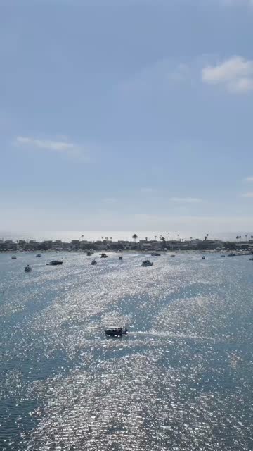 Aerial view of the beach, boats and palm trees in Mission Bay, with boats out.