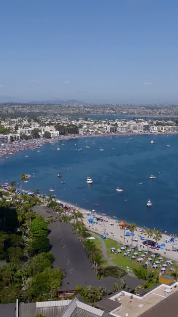 Aerial view of the beach, boats and palm trees in Mission Bay, with a crowd gathered.