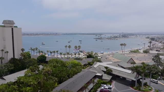 Low aerial view of the beach, boats and palm trees in Mission Bay, with a crowd gathered.
