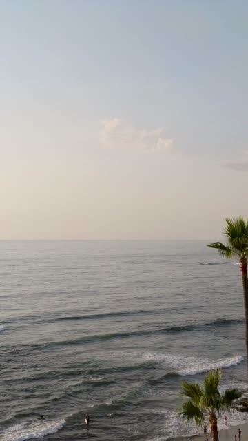 Beautiful afternoon at Windansea Beach in La Jolla with crowds enjoying the sun and beach activities at one of the most iconic beaches in San Diego | Vertical Drone Video