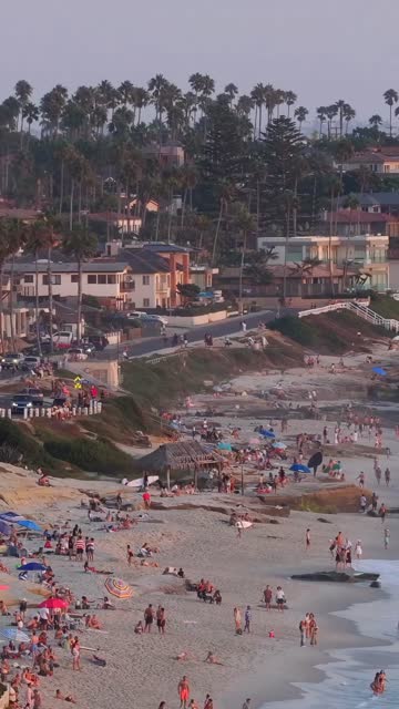 Aerial view of the beach, the surf and palm trees at Beach Barber Tract, with a crowd gathered.