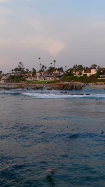 The beach, the surf and palm trees at Beach Barber Tract, with people walking.