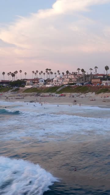 Low aerial view of the beach, the surf and palm trees at Beach Barber Tract, with swimmers in the water.