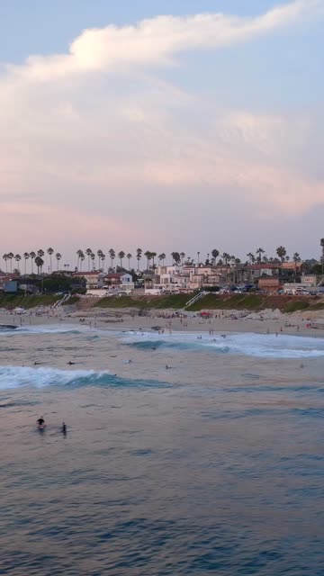 The beach, the surf and palm trees at Beach Barber Tract, with surfers out.