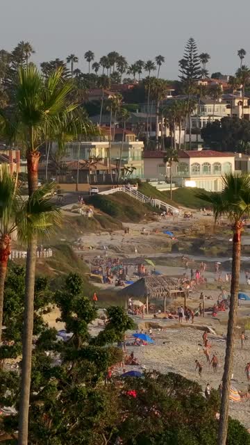 Elevated view of the beach, palm trees and the ocean at Beach Barber Tract, with a crowd gathered.