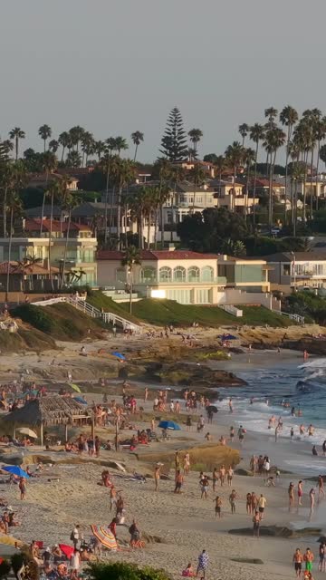 Low aerial view of the beach, the surf and palm trees at Beach Barber Tract, with a crowd gathered.