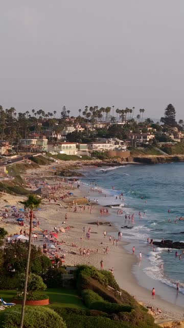 Low aerial view of the beach, the surf and palm trees at Beach Barber Tract, with people walking.