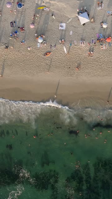 Aerial view of the beach, the surf and the ocean at Beach Barber Tract, with swimmers in the water.