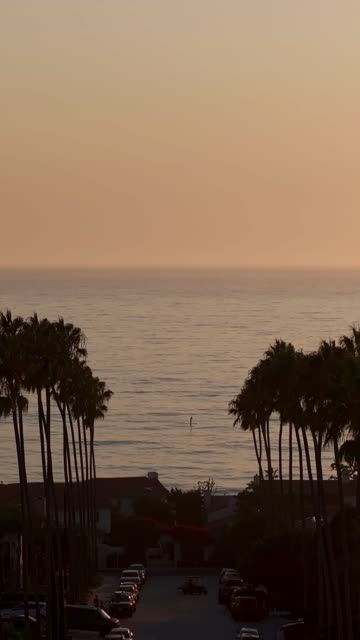 Elevated view of a residential street, palm trees and the ocean at Beach Barber Tract.