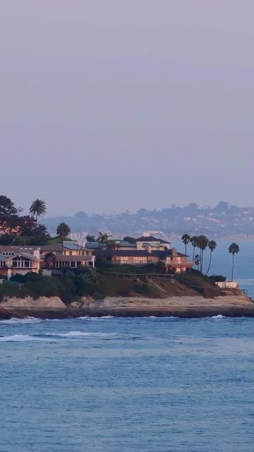 Low aerial view of the cliffs, palm trees and the ocean at Beach Barber Tract.