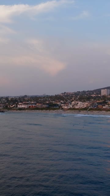 Aerial view of the beach, palm trees and the ocean at Beach Barber Tract, with people walking.