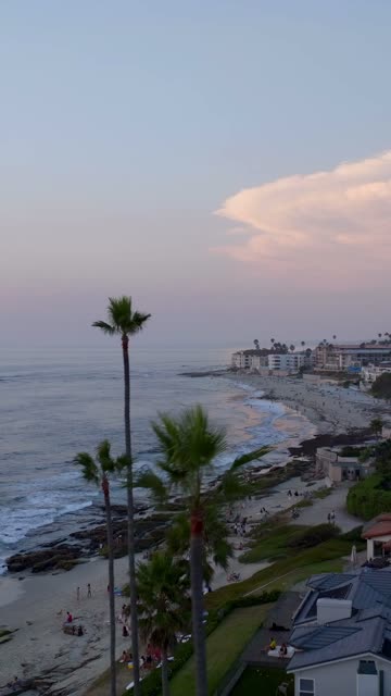 Low aerial view of the beach, the surf and palm trees at Beach Barber Tract, with people walking.