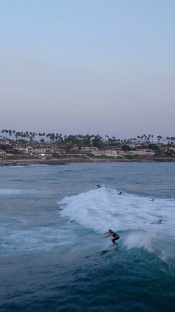 Low aerial view of the beach, the surf and palm trees at Beach Barber Tract, with surfers out.