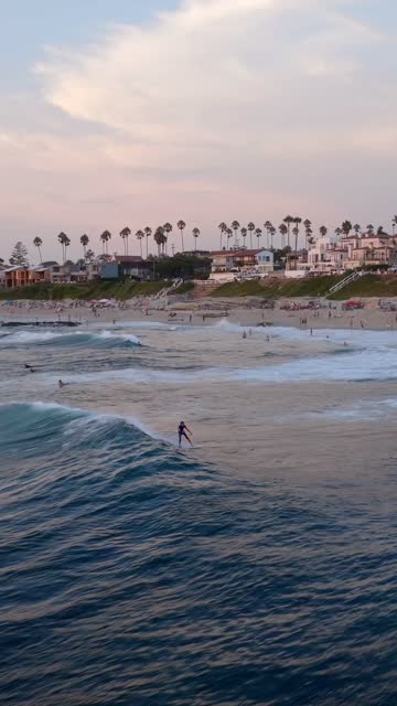 Low aerial view of the beach, the surf and palm trees at Beach Barber Tract, with surfers out.