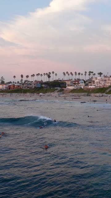 Low aerial view of the beach, the surf and palm trees at Beach Barber Tract, with surfers out.