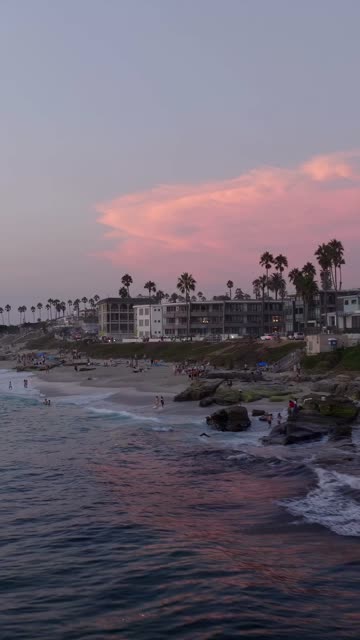 Low aerial view of the beach, palm trees and the ocean at Beach Barber Tract, with a crowd gathered.