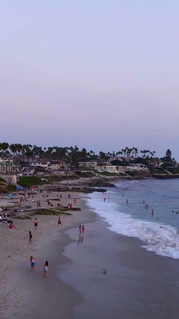 Low aerial view of the beach, the surf and palm trees at Beach Barber Tract, with people walking.