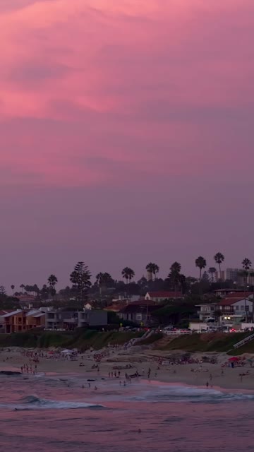 Low aerial view of the beach, the surf and palm trees at Beach Barber Tract, with a crowd gathered.