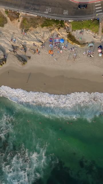 Aerial view of the beach, the surf and the ocean at Beach Barber Tract, with swimmers in the water.