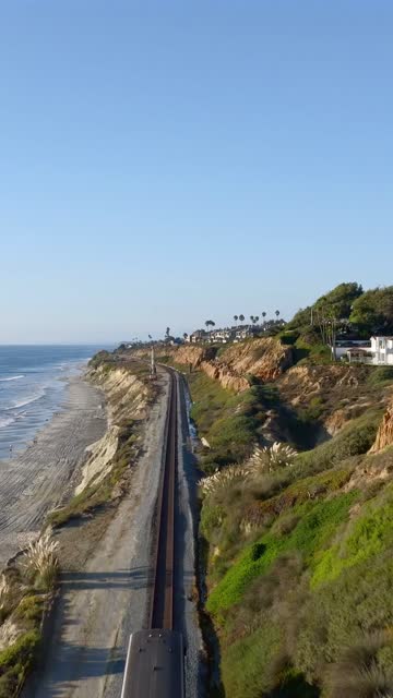 Aerial view of the cliffs, palm trees and the ocean at Torrey Pines.
