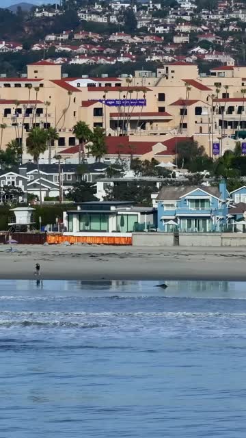 The beach, palm trees and the ocean in Del Mar, with people walking.