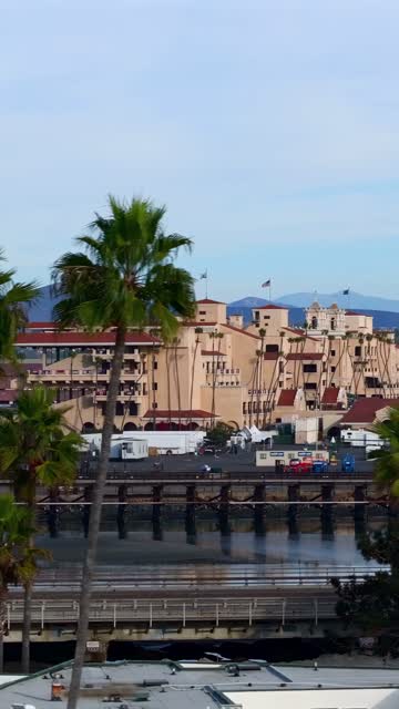 The country inland, palm trees and the buildings in Del Mar.