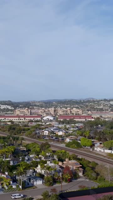 Aerial view of a residential street, palm trees and homes in Del Mar.