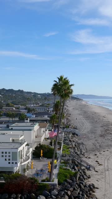 Low aerial view of the beach, palm trees and the ocean in Del Mar, with people walking.