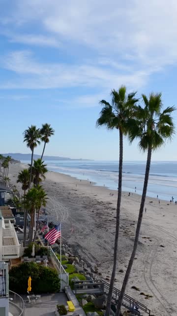 Elevated view of the beach, the surf and palm trees in Del Mar, with people walking.