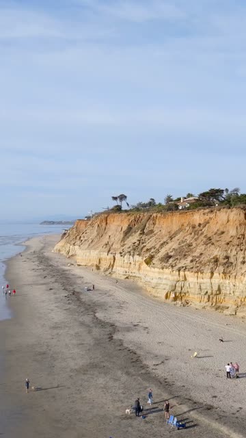 Aerial view of the cliffs, palm trees and the ocean in Del Mar, with people walking.