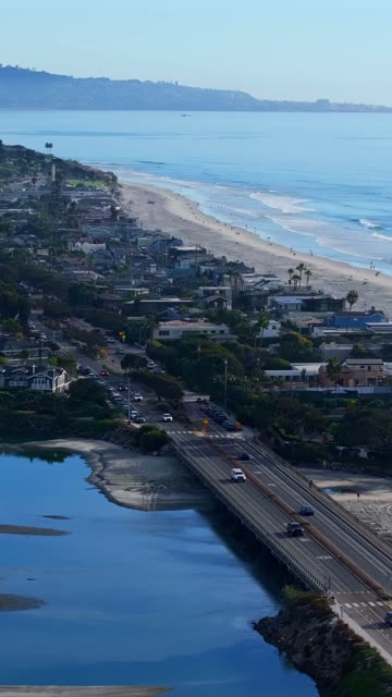 Aerial view of the beach, the bridge and palm trees in Del Mar, with people walking.