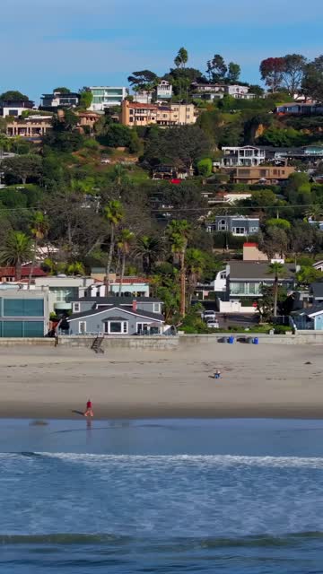 Low aerial view of the beach, the surf and palm trees in Del Mar, with people walking.