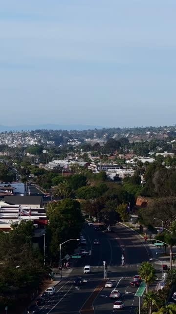 Low aerial view of a residential street, palm trees and homes in Del Mar, with people walking.
