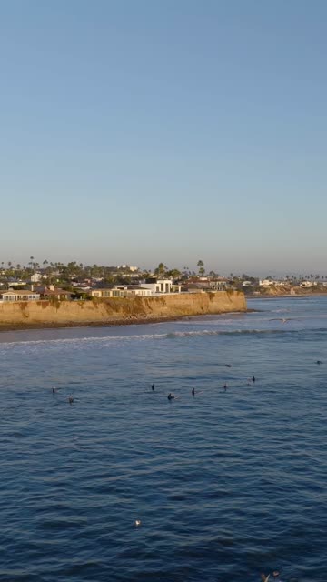 Aerial view of the cliffs, the surf and palm trees at Bird Rock, with surfers out.