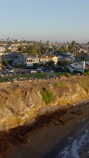 Low aerial view of the cliffs, palm trees and the ocean at Bird Rock, with a crowd gathered.