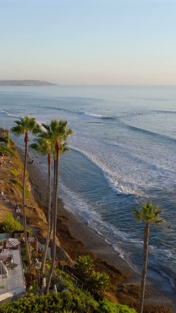 Aerial view of the cliffs, the surf and palm trees at Bird Rock, with surfers out.