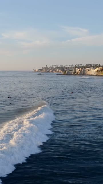 Low aerial view of the beach, the surf and palm trees at Bird Rock, with surfers out.