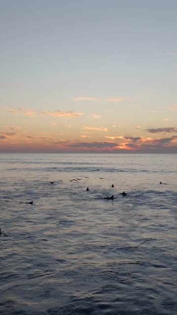 Low aerial view of the beach, the surf and the ocean at Bird Rock, with surfers out.
