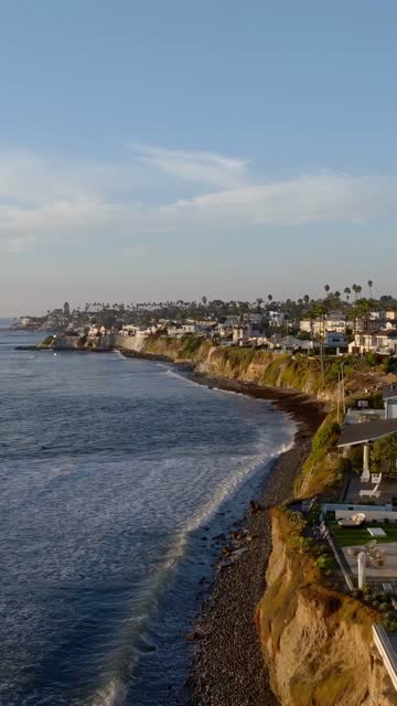 Aerial view of the cliffs, palm trees and the ocean at Bird Rock.