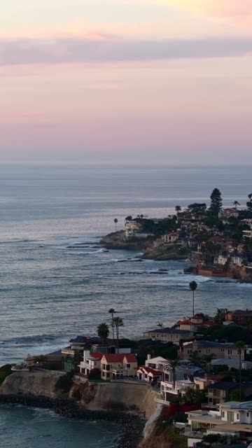 Aerial view of the cliffs, palm trees and the ocean at Bird Rock.