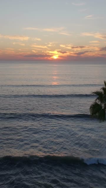 Low aerial view of the beach, the surf and palm trees at Bird Rock.