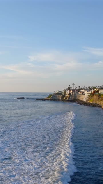 Low aerial view of the cliffs, the surf and palm trees at Bird Rock.