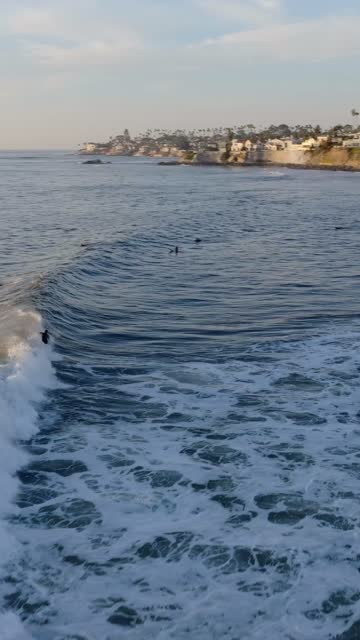 Low aerial view of the cliffs, the surf and palm trees at Bird Rock, with surfers out.
