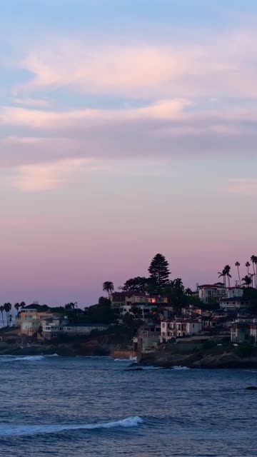 Low aerial view of the cliffs, palm trees and the ocean at Bird Rock.