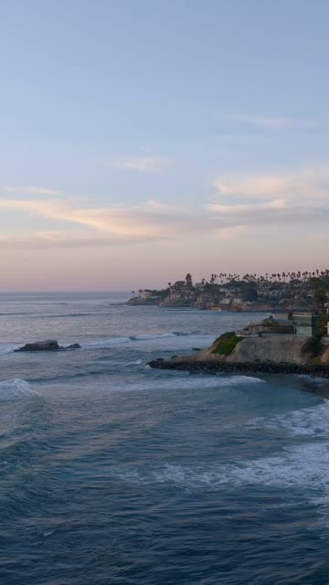 Low aerial view of the cliffs, the surf and palm trees at Bird Rock.