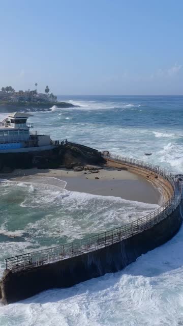 Aerial view of the beach, the surf and wildlife at Village of La Jolla.