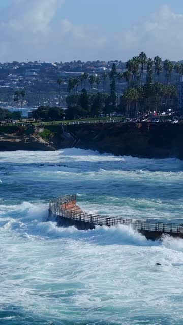 Low aerial view of the cliffs, the surf and palm trees at Village of La Jolla.