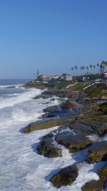 Low aerial view of the cliffs, the surf and palm trees at Beach Barber Tract.